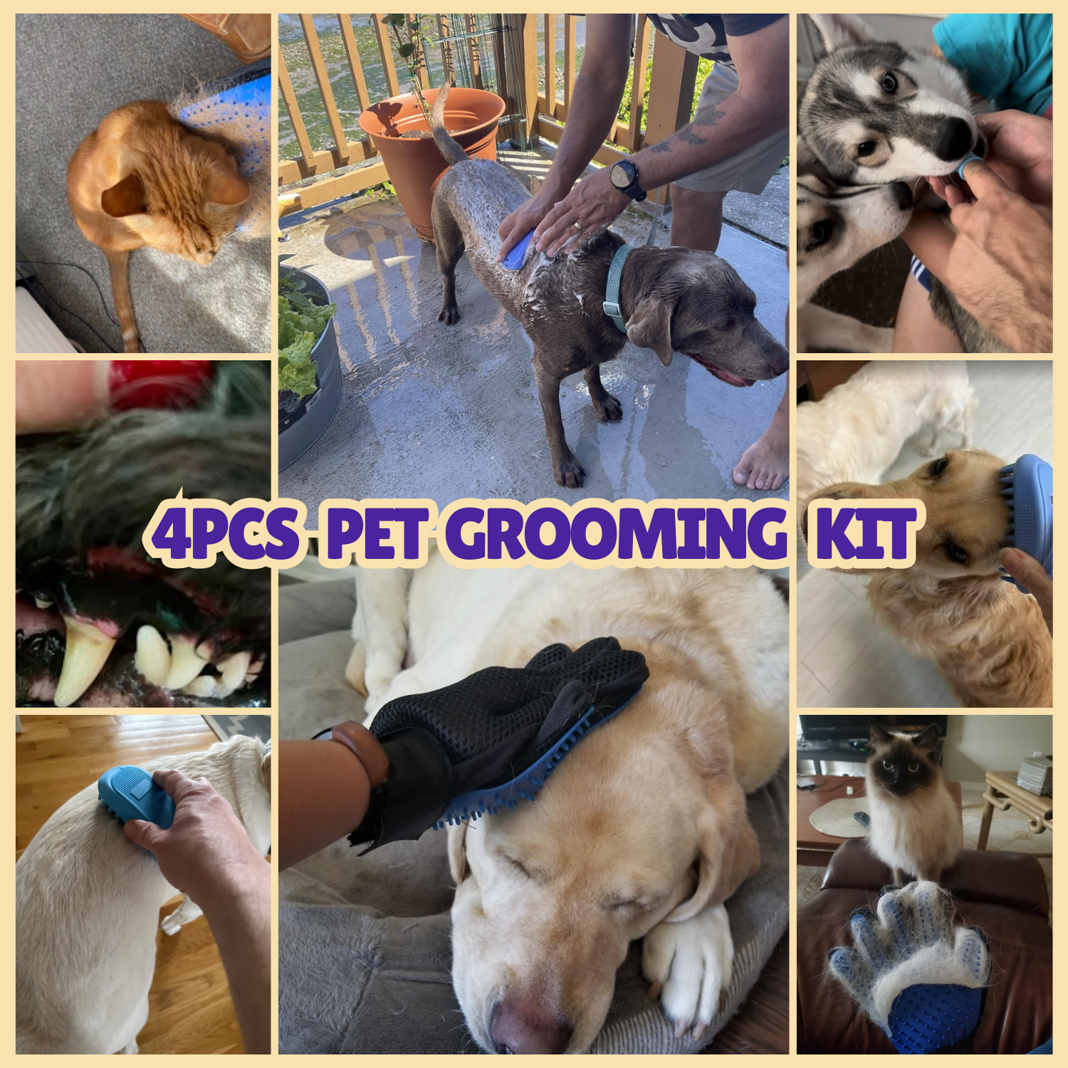 thumbnail image 2 of Dog Wash Brush 6PCS Pet Grooming Kit - Dog Washing Gloves, Silicone Bath Brush & Finger Toothbrush For Dogs & Cats Dog Bathing Gloves 2 of 10