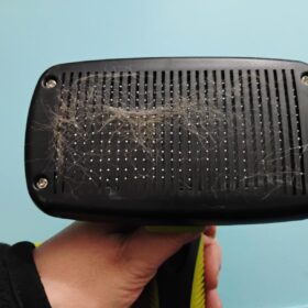 ENUKYCOM Pet Grooming Kit, All-in-One Bathing Solution - Self Cleaning Slicker Brush for Dogs Cats plus Rubber Pet Bath Brushes for Grooming, DeShedding, Massage & Skin Care - Pet Silicone Shampoo Brush for Long & Short Hair Small Large Pets Dogs photo review