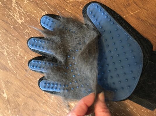 ENUKYCOM Dog Bath Grooming Kit - Pet Toothbrushes, Rubber Dog Bath & Massage Brush, Pet Shedding Massage Glove & Soft Silicone Cat Chin Acne Brush for Long and Short Haired Dogs, Cats & Small Animals - Dogs Bath Grooming Kit photo review