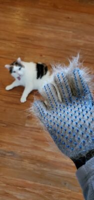 ENUKYCOM Dog Bath Grooming Kit - Pet Toothbrushes, Rubber Dog Bath & Massage Brush, Pet Shedding Massage Glove & Soft Silicone Cat Chin Acne Brush for Long and Short Haired Dogs, Cats & Small Animals - Dogs Bath Grooming Kit photo review