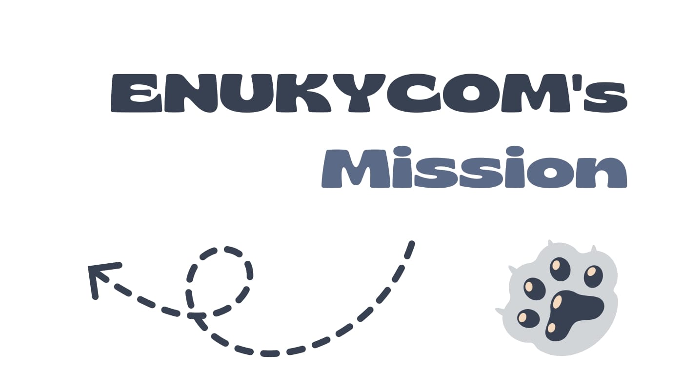 ENUKYCOM'S Mission