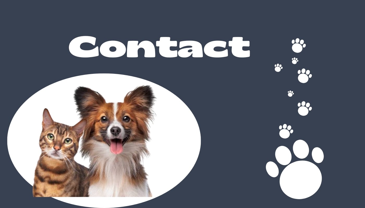 Contact Enuky