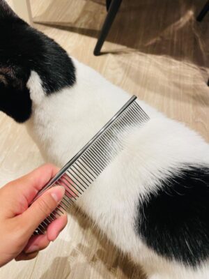 ENUKYCOM Specialized Grooming Tool for Great Pyrenees and Doodles (Goldendoodles, Poodles & Labradoodles) - Dog Slicker Brush & Comb Kit: Work Through Dense and Long Coats, for Both Matted Hair and Shedding photo review