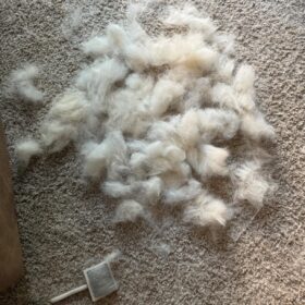 ENUKYCOM Specialized Grooming Tool for Great Pyrenees and Doodles (Goldendoodles, Poodles & Labradoodles) - Dog Slicker Brush & Comb Kit: Work Through Dense and Long Coats, for Both Matted Hair and Shedding photo review
