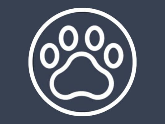 Enukycom: Pamper Your Pets with the Best Care
