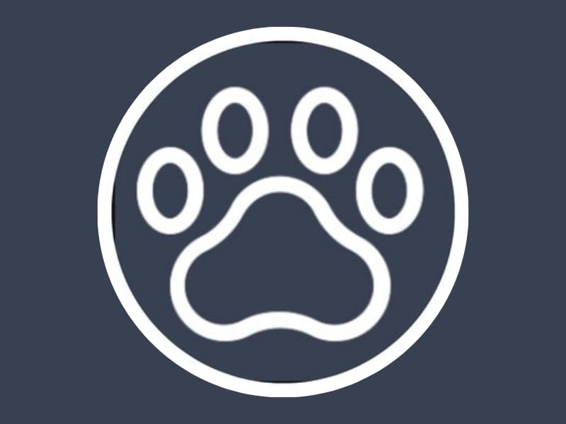 Enukycom: Pamper Your Pets with the Best Care
