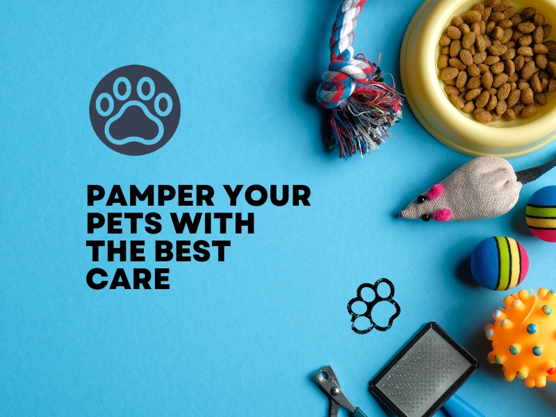 Enukycom: Pamper Your Pets with the Best Care