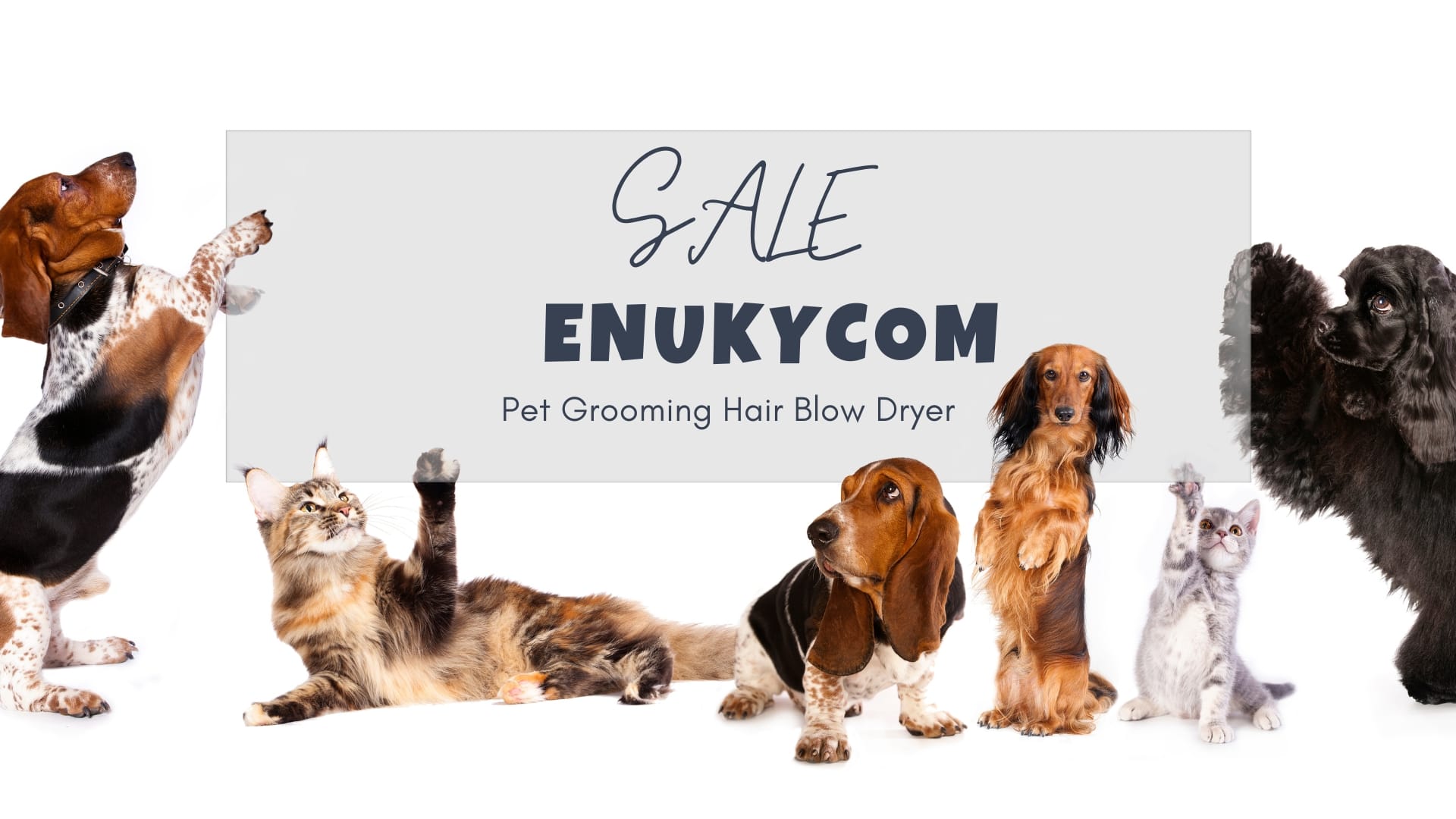 Banner Sale Enuky