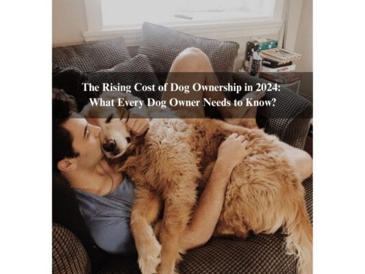 The Rising Cost of Dog Ownership in 2024: What Every Dog Owner Needs to Know?