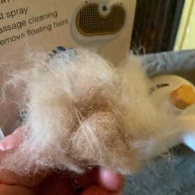 Bath Massage Brush & Steamy Slicker Brush for Long Hair Cat & Dog Self Cleaning Steam Brush for Cat Dog, 4 in 1 Pet Brushes for Shedding & Grooming, Bath Massage & Water/Mist Slicker Brush for Long Haired Cats & Dogs- Pet Grooming Brushes with Spray for Cats photo review