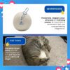 Dryer Ball Kit: 6 XL Wool Dryer Balls - Natural Fabric Softener, Reusable, Reduces Clothing Wrinkles and Saves Drying Time - Reduces Wrinkles and Saves Drying Time (6pcs Wool Dryer Ball) (Emoji) - Image 10